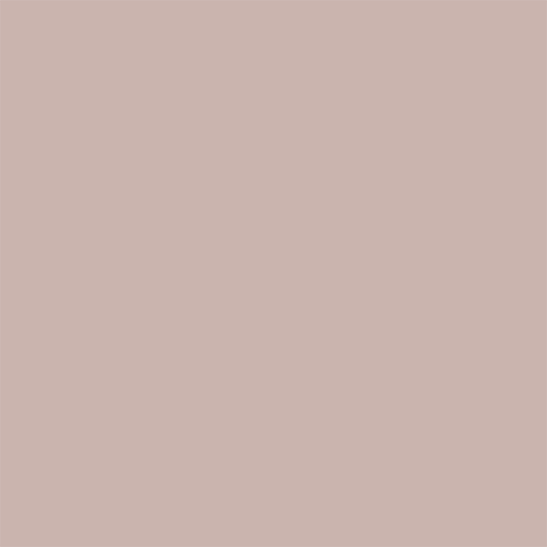 BioClad Pastel Mint BioClad Pastel Mint