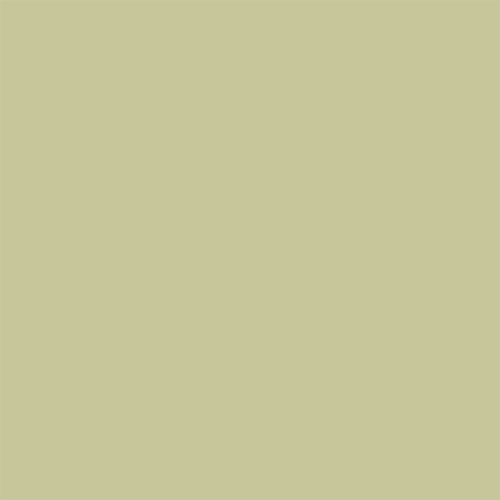 BioClad Pastel Green BioClad Pastel Green